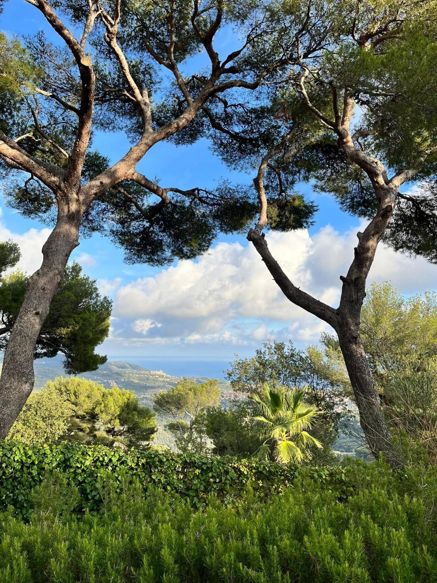 Casa Merea 16 Costa d'Oneglia Exteriér fotografie